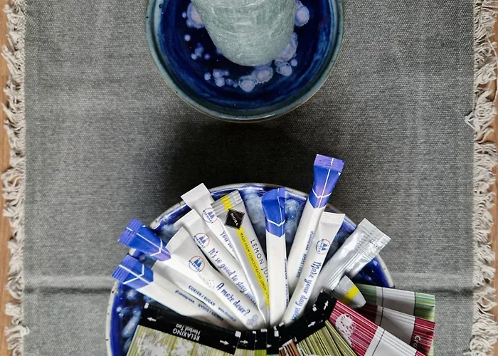 Brokilon House * Cracovie