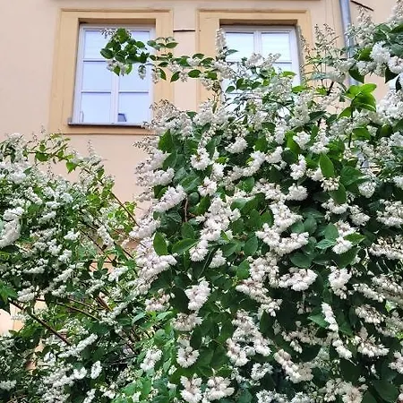 Brokilon House *