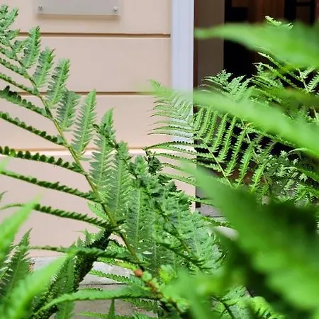 Brokilon House Appartement *