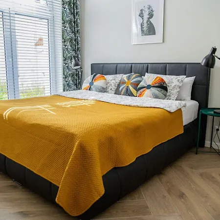 Brokilon House Krakow