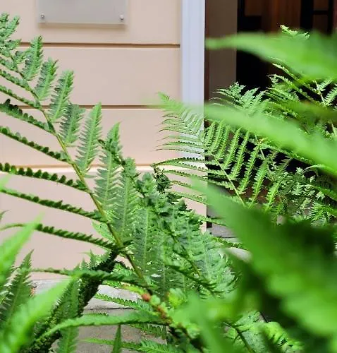 Brokilon House Apartamento *