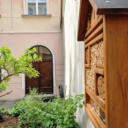 Brokilon House * Krakov